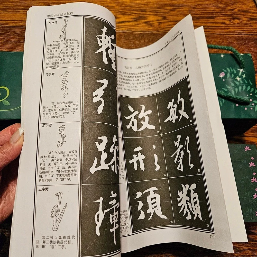 Chinese Calligraphy‎ Set 2 Brushes Ceramic Mountain Rest Instruction Book